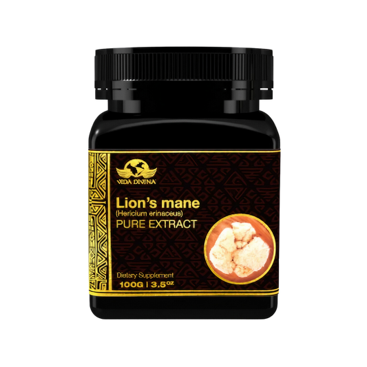 Lion's Mane Pure Extract